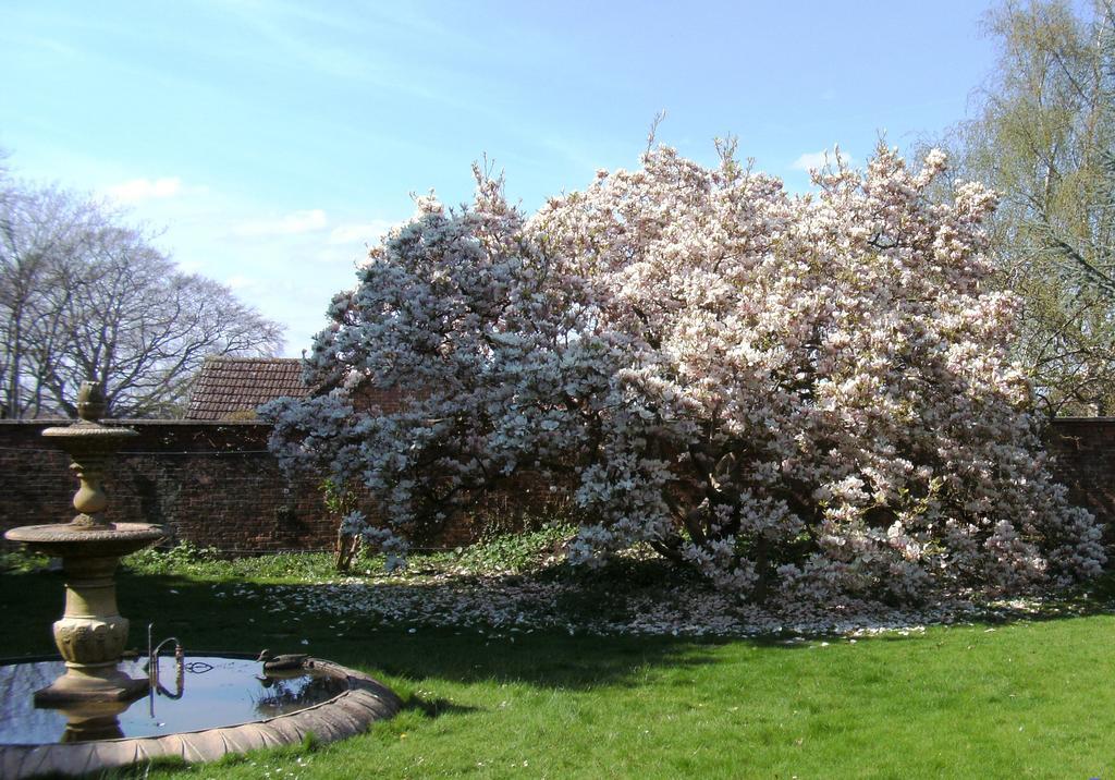Hilbury Court Hotel Trowbridge Eksteriør bilde